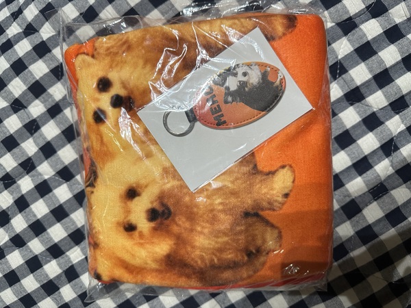 レビュー投稿の拡大画像