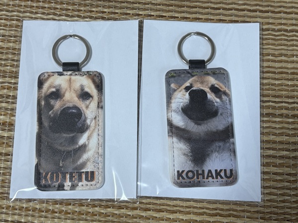レビュー投稿の拡大画像