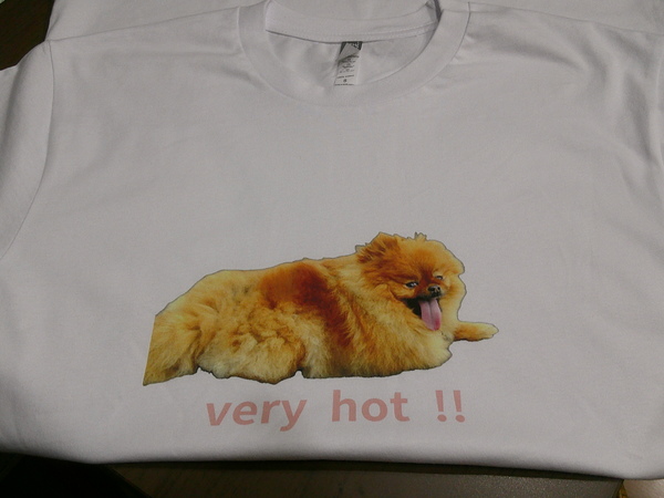 レビュー投稿の拡大画像
