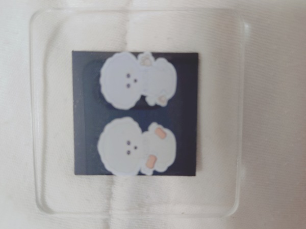 レビュー投稿の拡大画像
