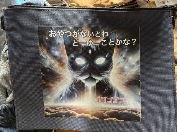 レビュー投稿の拡大画像