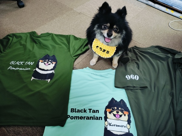 レビュー投稿の拡大画像