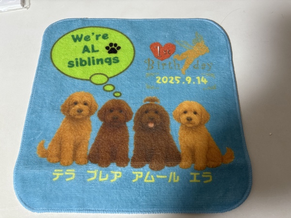 レビュー投稿の拡大画像