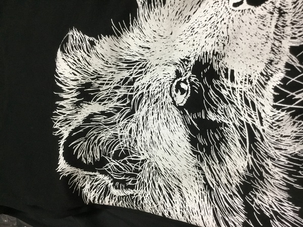 レビュー投稿の拡大画像