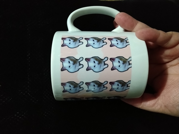 レビュー投稿の拡大画像