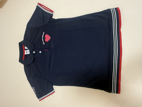 レビュー投稿の拡大画像