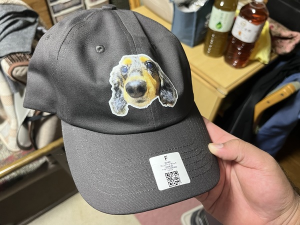 レビュー投稿の拡大画像