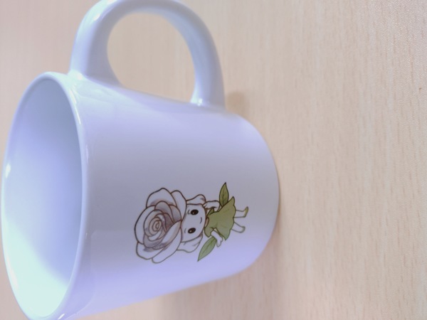 レビュー投稿の拡大画像