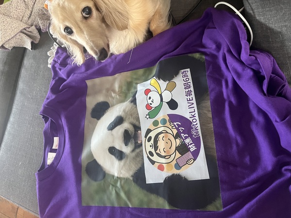 レビュー投稿の拡大画像