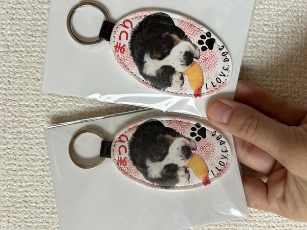 レビュー投稿の拡大画像