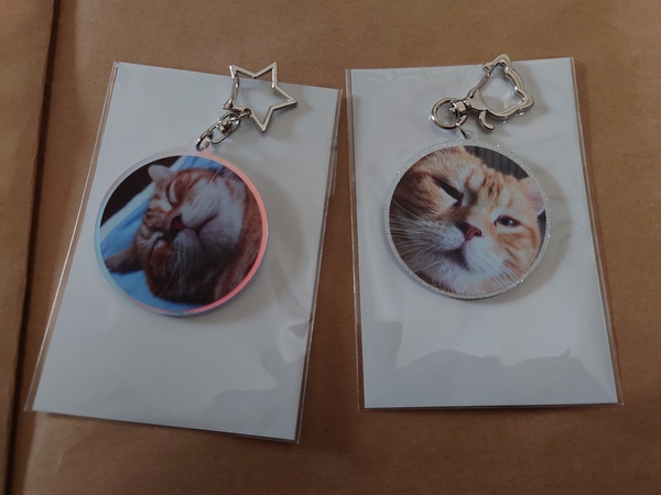 レビュー投稿の拡大画像