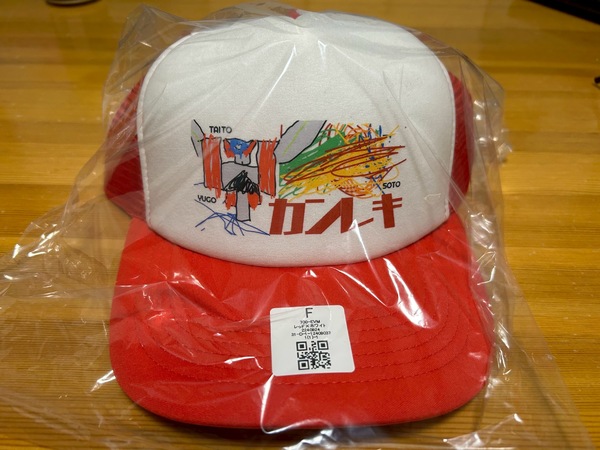 レビュー投稿の拡大画像