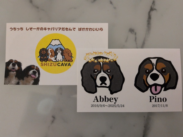 レビュー投稿の拡大画像