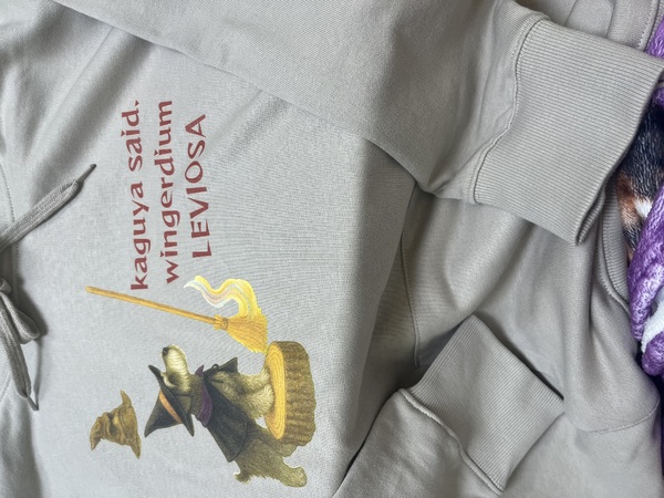 レビュー投稿の拡大画像