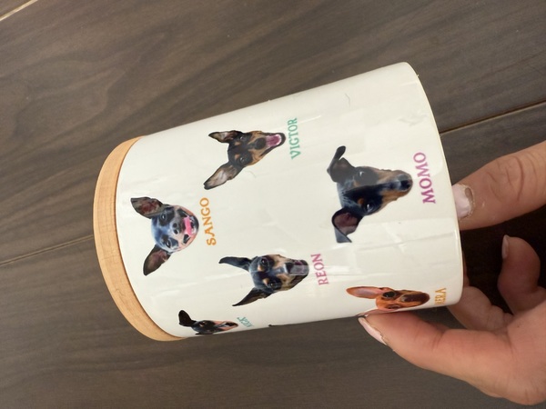 レビュー投稿の拡大画像