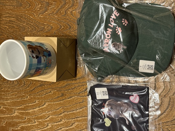 レビュー投稿の拡大画像