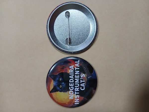 レビュー投稿の拡大画像