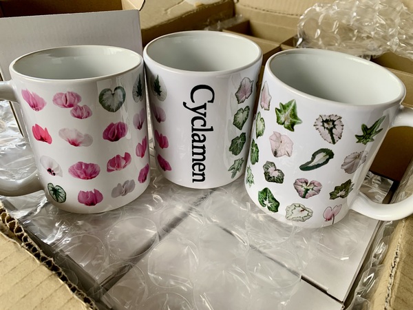 レビュー投稿の拡大画像