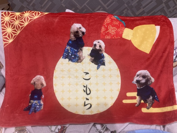 レビュー投稿の拡大画像