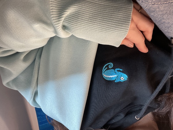 レビュー投稿の拡大画像