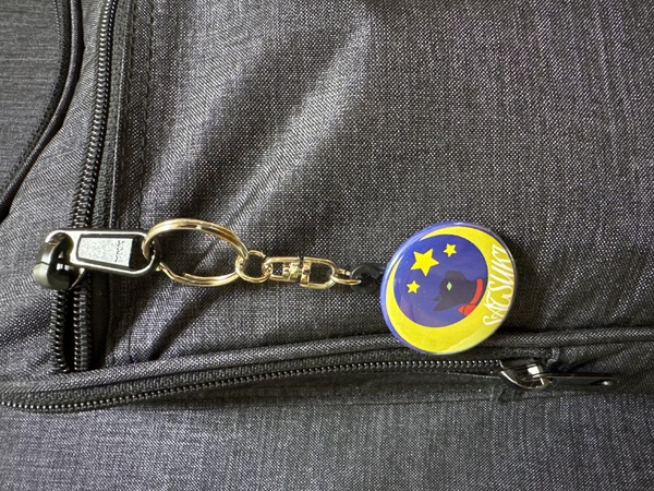 レビュー投稿の拡大画像