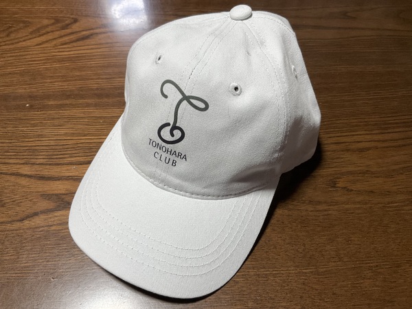 レビュー投稿の拡大画像