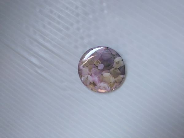 レビュー投稿の拡大画像