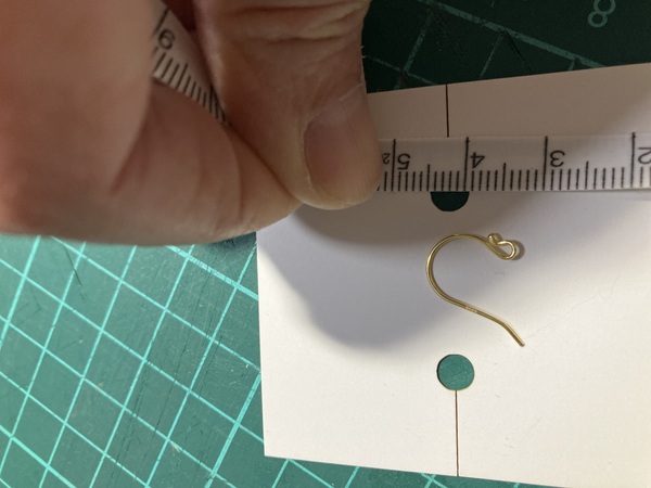 レビュー投稿の拡大画像