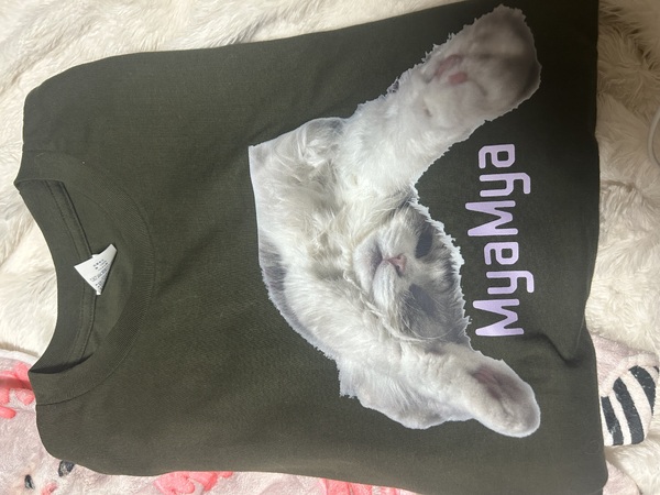 レビュー投稿の拡大画像