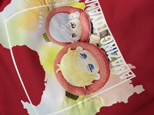 レビュー投稿の拡大画像