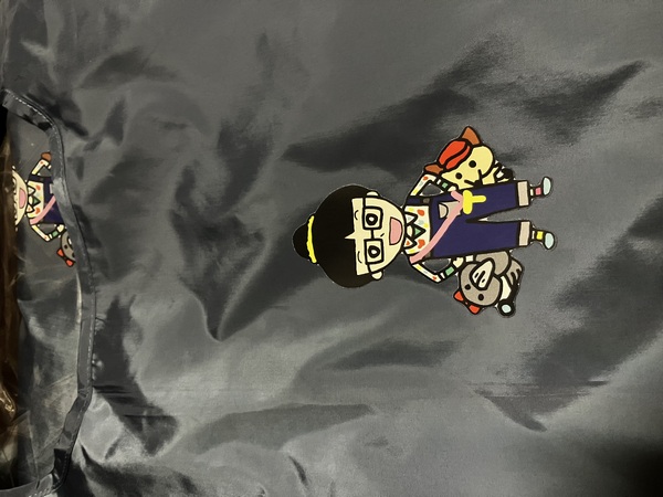 レビュー投稿の拡大画像