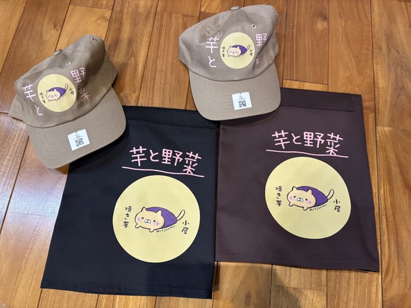 レビュー投稿の拡大画像