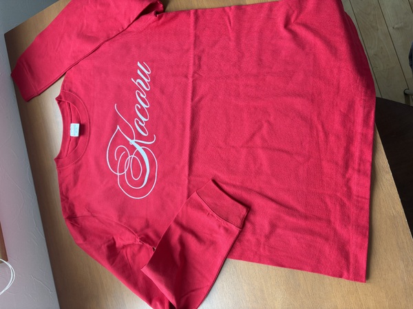 レビュー投稿の拡大画像