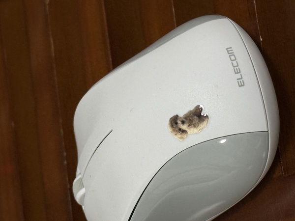 レビュー投稿の拡大画像