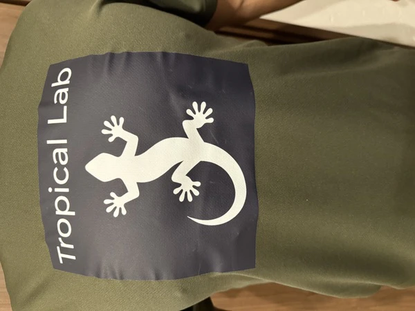 レビュー投稿の拡大画像