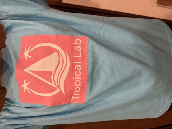 レビュー投稿の拡大画像