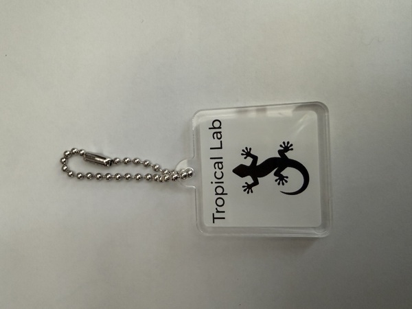 レビュー投稿の拡大画像