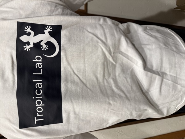 レビュー投稿の拡大画像