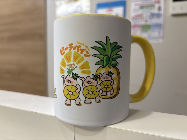 レビュー投稿の拡大画像