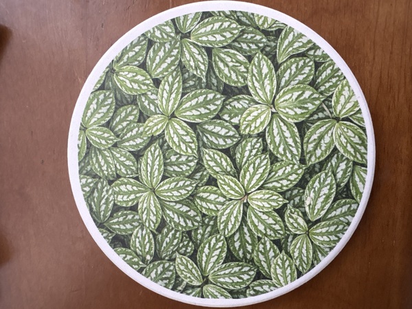 レビュー投稿の拡大画像