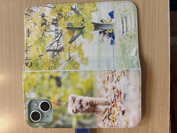 レビュー投稿の拡大画像