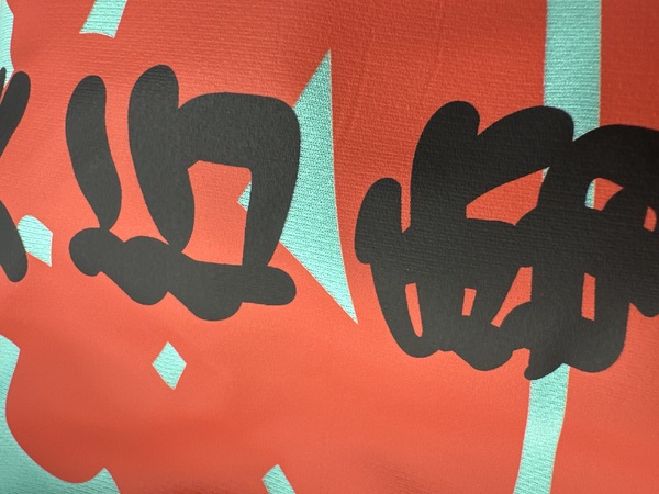 レビュー投稿の拡大画像