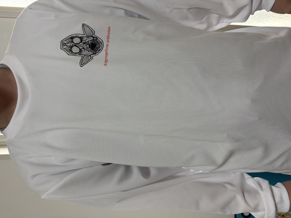 レビュー投稿の拡大画像