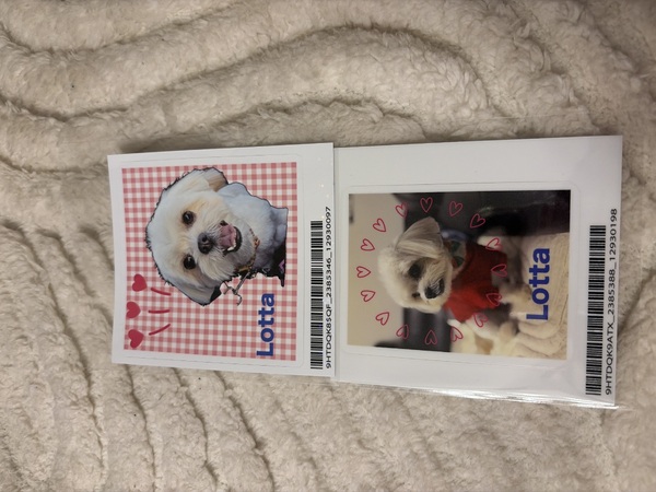 レビュー投稿の拡大画像