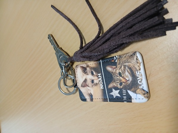 レビュー投稿の拡大画像