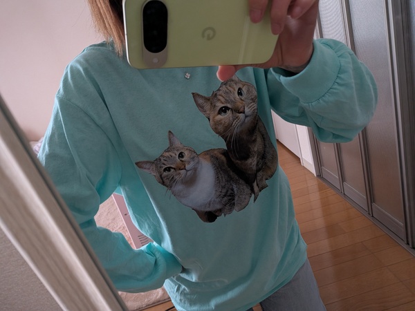 レビュー投稿の拡大画像