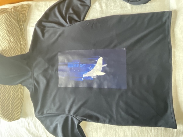 レビュー投稿の拡大画像