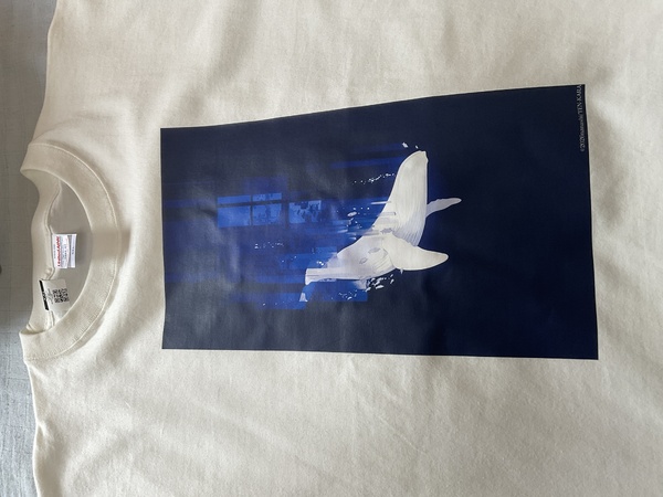 レビュー投稿の拡大画像