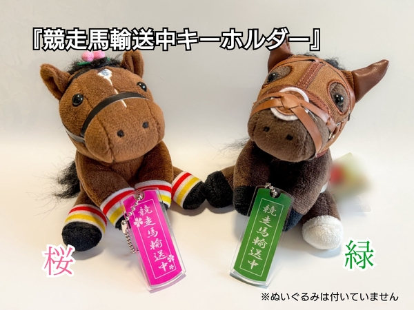 レビュー投稿の拡大画像