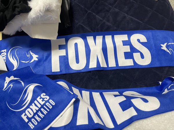 レビュー投稿の拡大画像